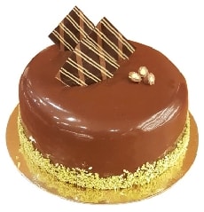 Özel Seri Lezzet 6–9 Kişilik Çikolatalı Yaş Pasta pasta